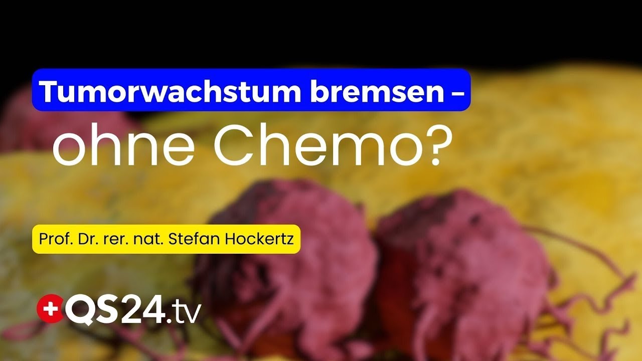 Huaier-Extrakt im Fokus: Was asiatische Studien über Krebsprozesse zeigen | QS24 Gremium