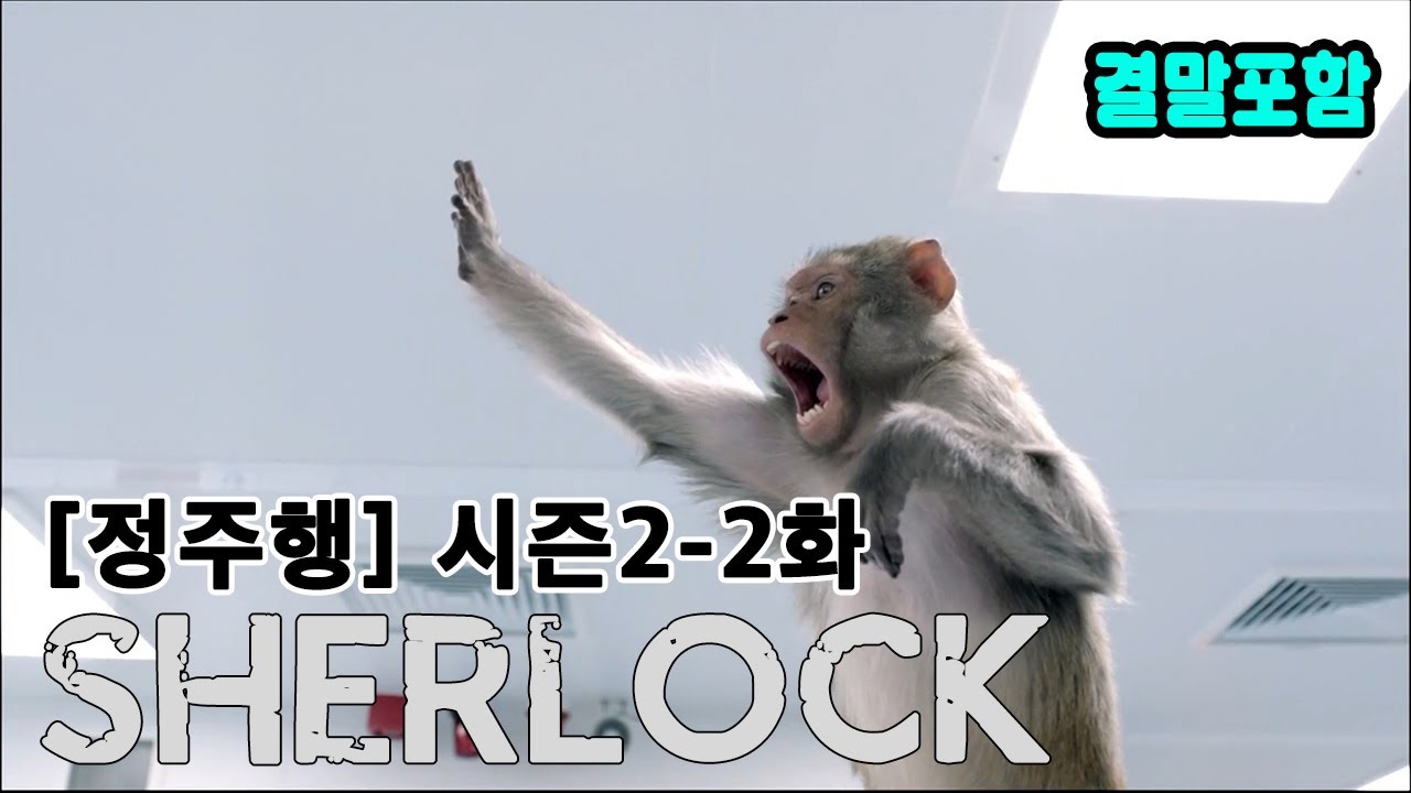 [시즌2-2화] 유전자 조작 멈춰! (셜록)(결말포함)