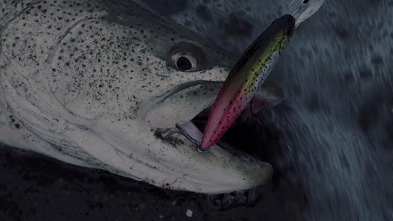 A Small Giant : Fangbait80DR field testing and explanation with Kazuhiro Uyama