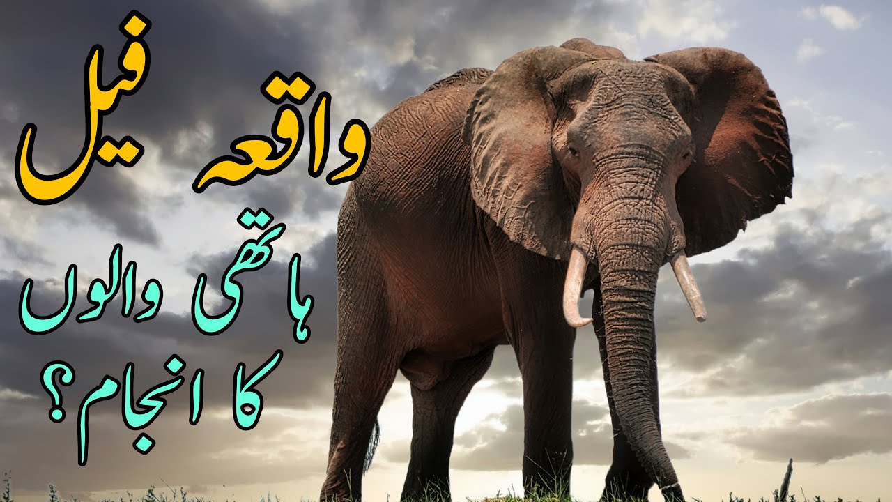 Quran Story|Waqia Feel|Surah e Feel|Haathi waaloun ka Waqia by Hikayaat Aur Waqiyaat|islamic Stories