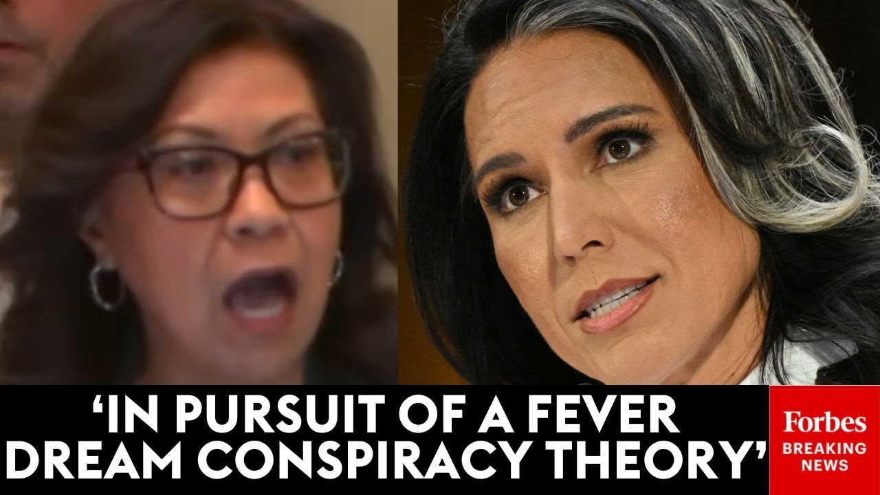 'Tagging Along Like An Obedient Dog': Torres Torches Gabbard Over Appearance At Fulton County Raid