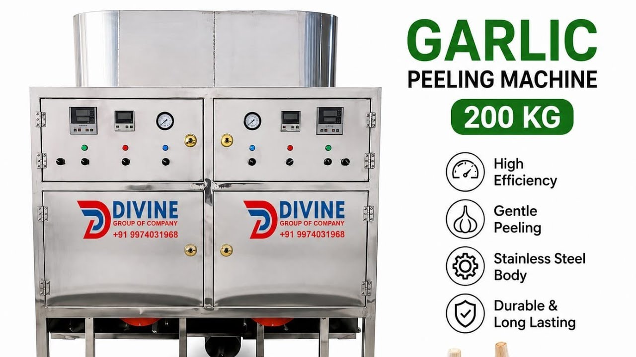 200KG GARLIC PROCESSING PLANT  IN GUJARAT