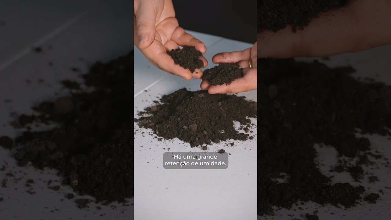 Por que n&atilde;o posso regar igual aos produtores? #plantas #rega #forthjardim
