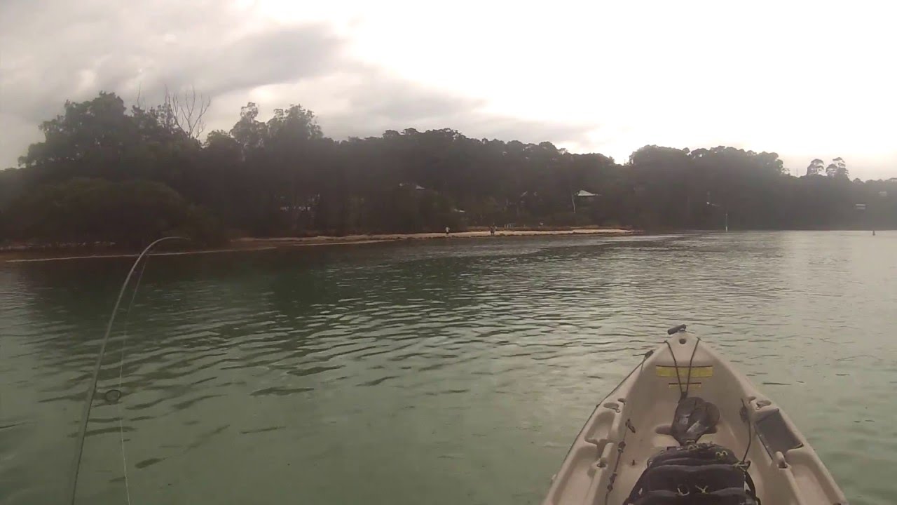 Fishing The Wagonga Inlet 2016
