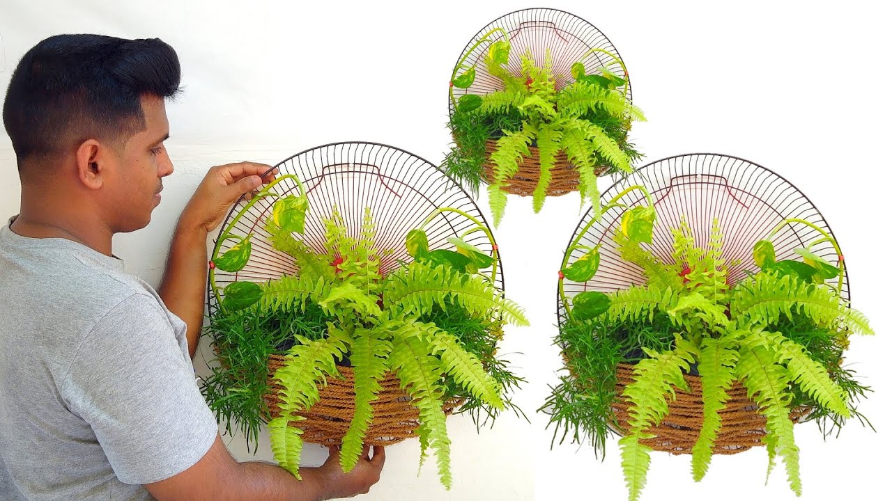 how to make bewtiful wall planters ideas/garden ideas/indoor plants/decoration ideas