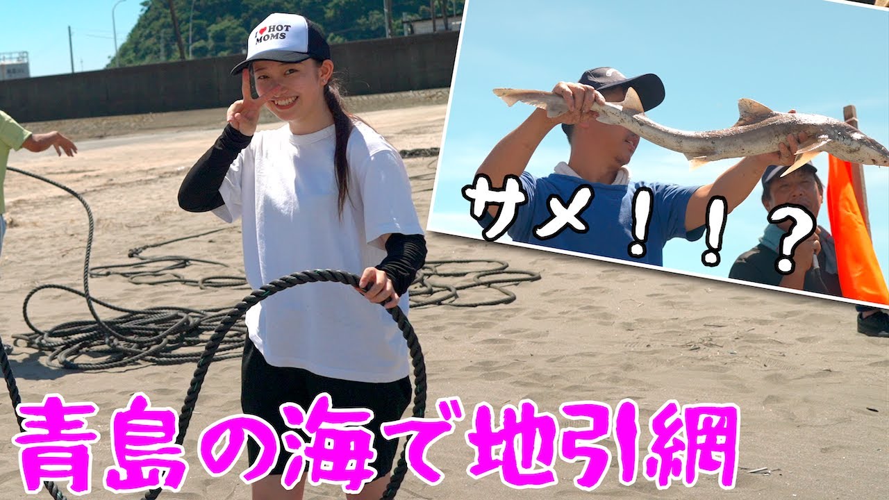 【青島の海にサメ！！？】地引網体験