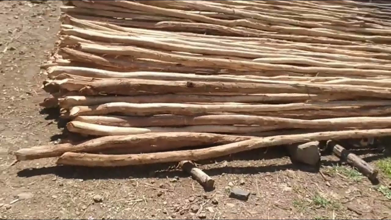 50 ቆርቆሮ ቤት ለመስራት ስንት ብር ይፈጃል