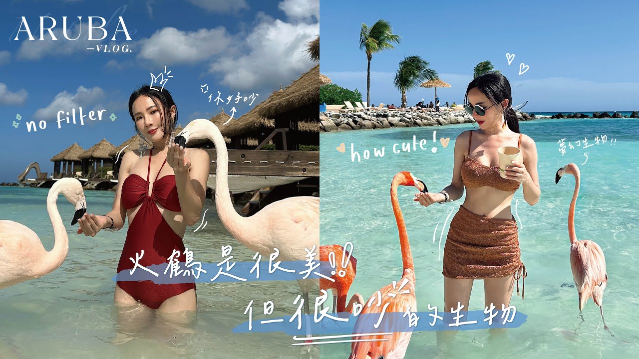 前進夢想清單 - 阿魯巴國火鶴島（不是那個阿魯巴！）～這裡真是太ㄎㄧㄤ太美、太好玩了～