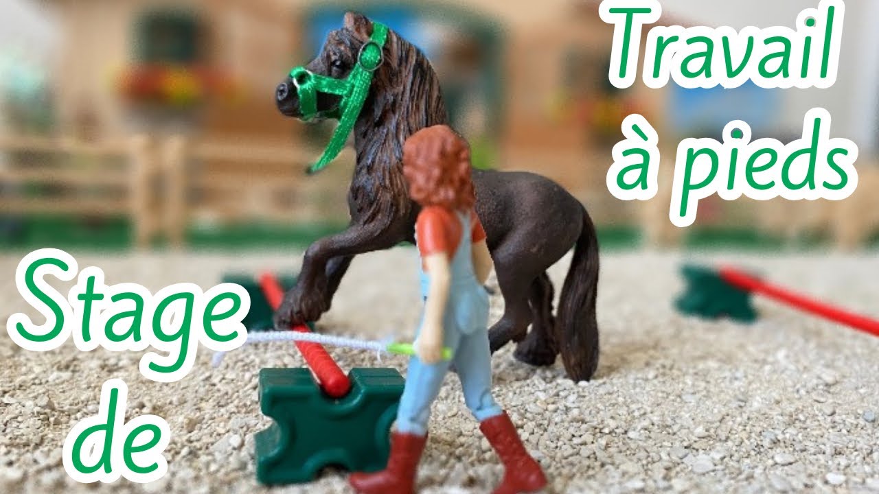 Stage de travail à pieds (Tap)