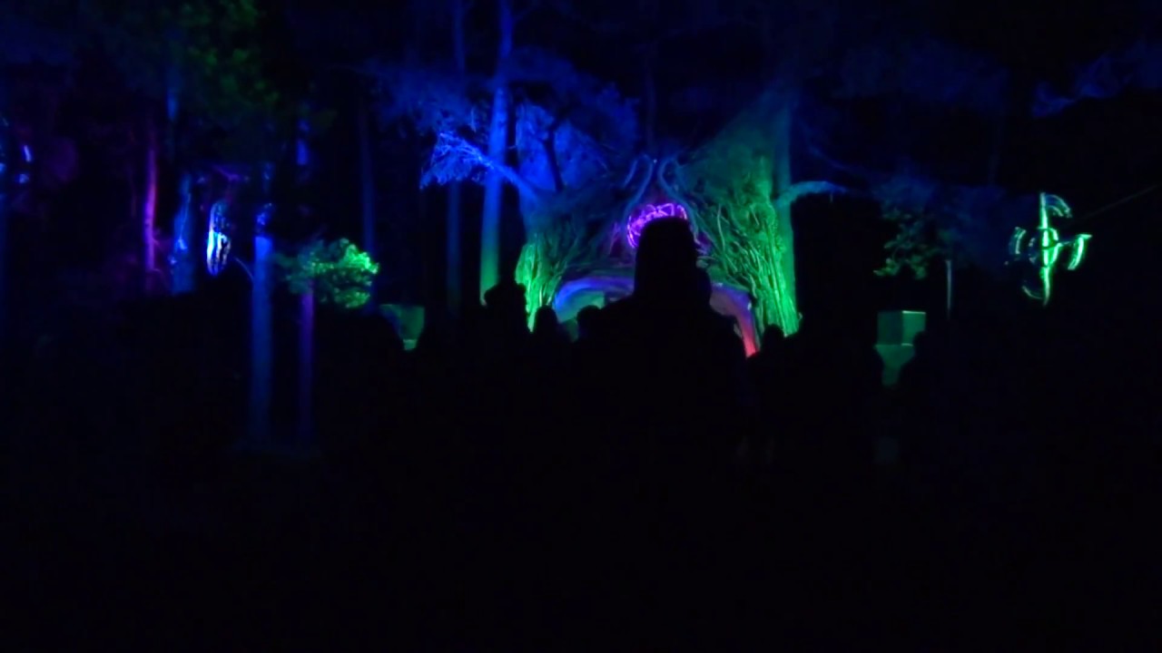 ☯ PSYKOVSKY live 2/9 ☯ somewhere in lithuanian woods ☯