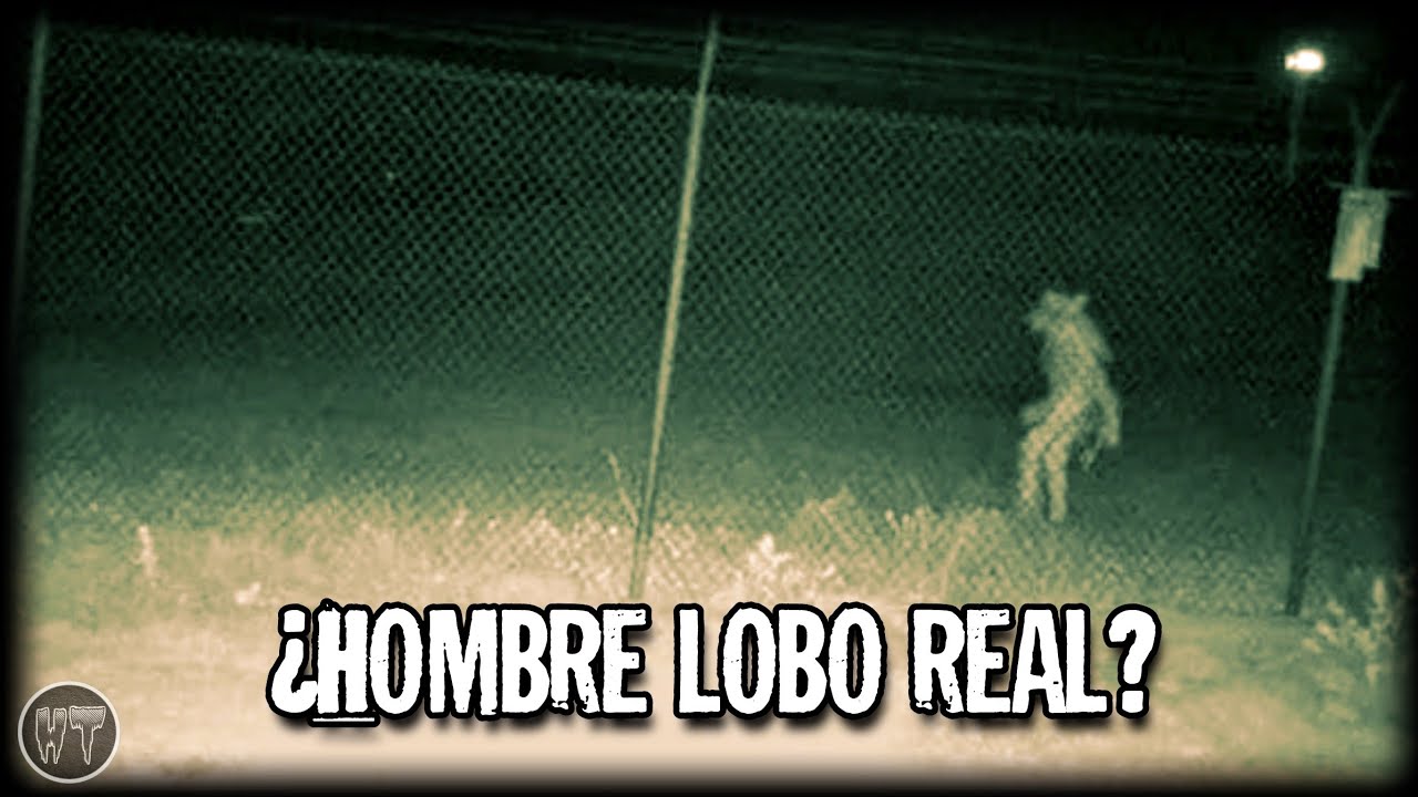 HOMBRE LOBO es CAPTADO en un ZOOLOGICO en ESTADOS UNIDOS - Recopilacion de videos de terror