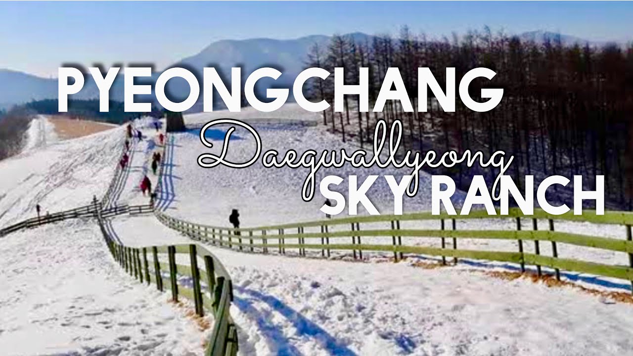 [4K] Pyeongchang | Tractor Carriage Ride in Daegwallyeong Sky Ranch during Winter Season | #korea