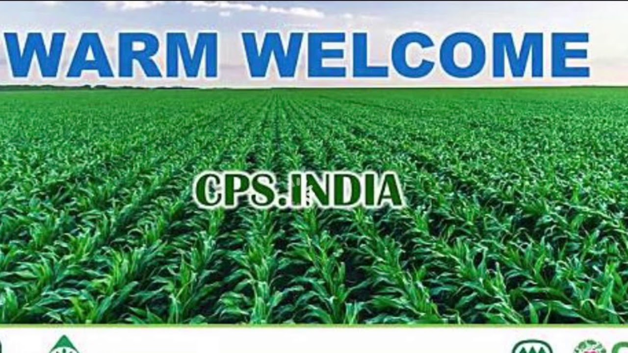 CP SEEDS 🌽SWEET CORN