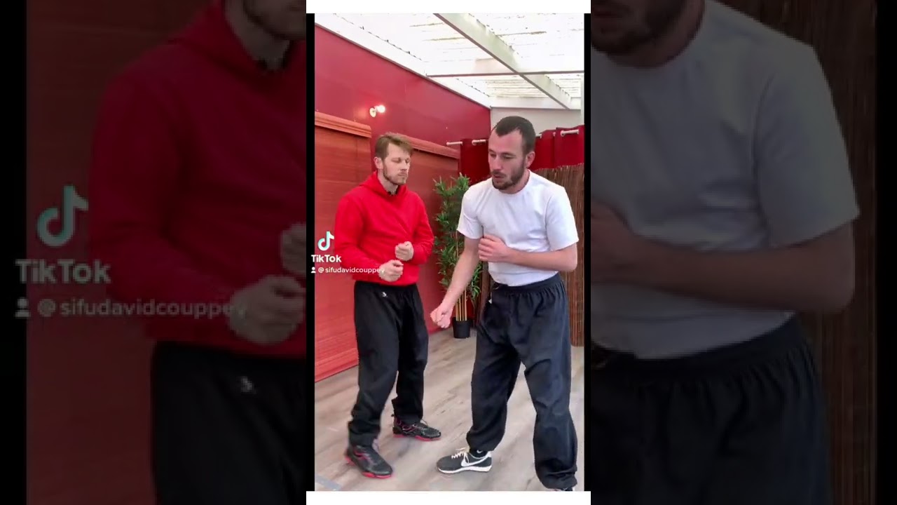 Wing Chun Training : kung fu fighting technique for beginners How to basic !