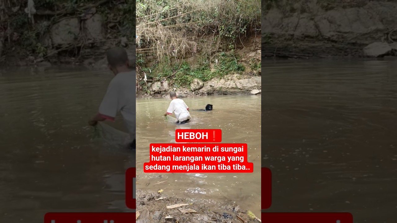 kejadian kemarin di sungai hutan larangan warga yang sedang menjala ikan tiba tiba 