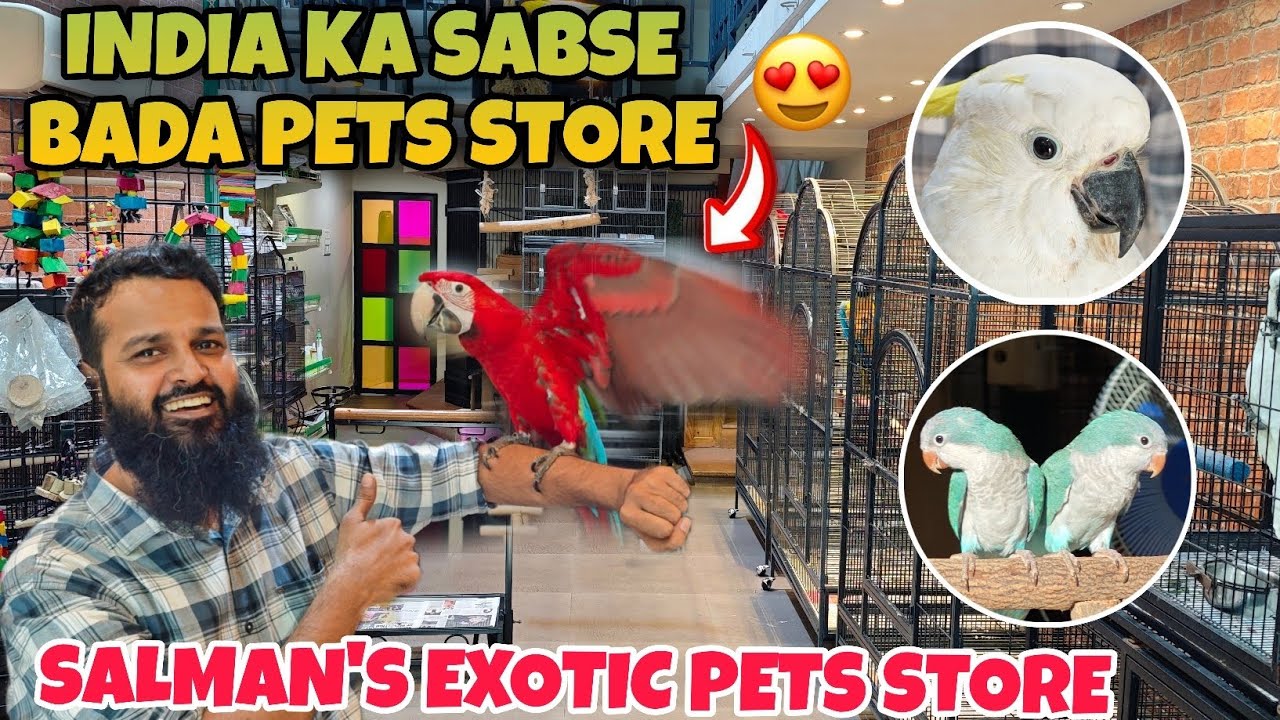 INDIA KA SABSE BADA EXOTIC PETS STORE 🤩 SALMAN'S EXOTIC PETS STORE 🔥 