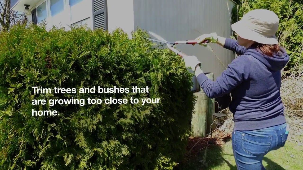 Inspecting Your Mobile Home for Spring