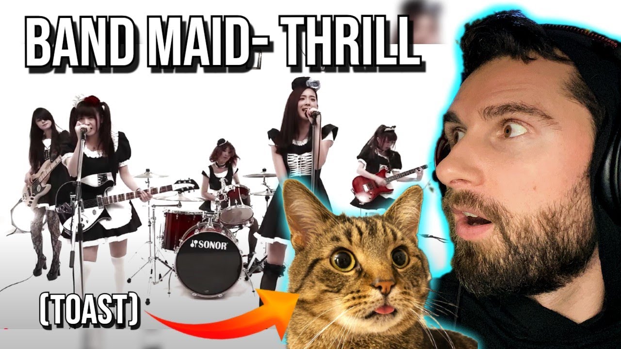 Introduced My Cat To Band Maid! | Band Maid- Thrill (REACTION!!!)