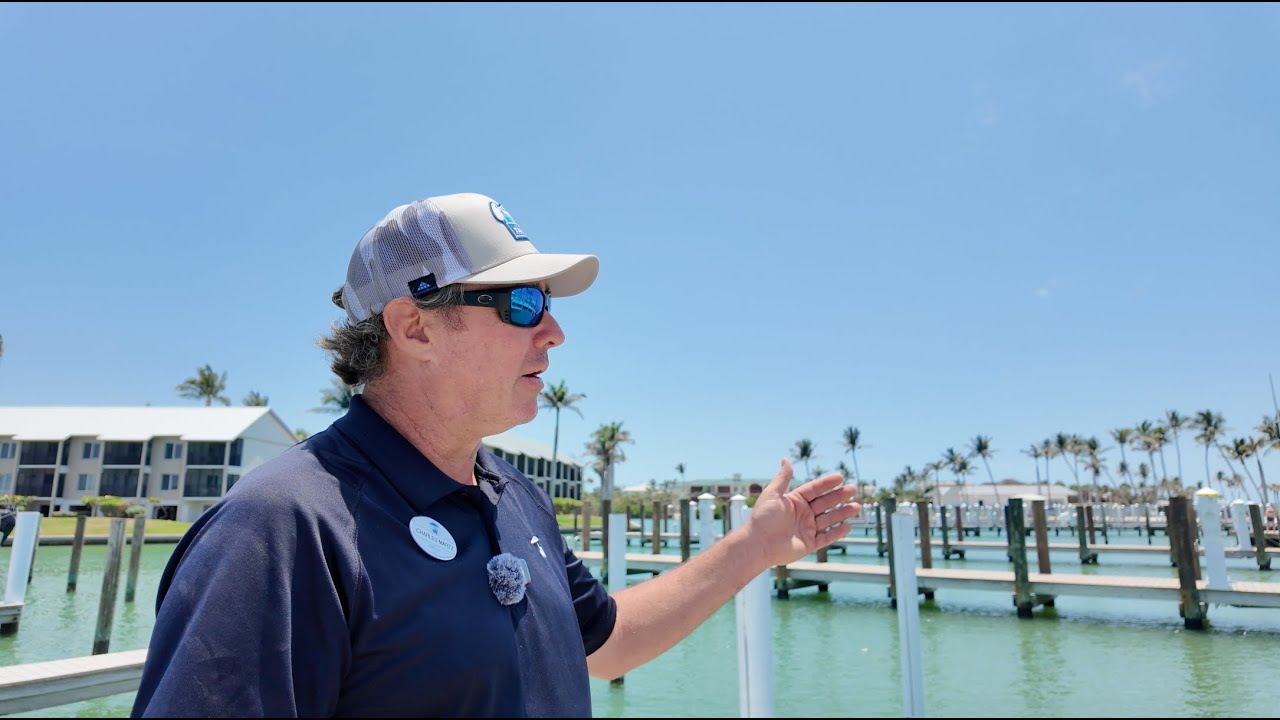 Welcome Back to Yacht Harbour Marina | South Seas