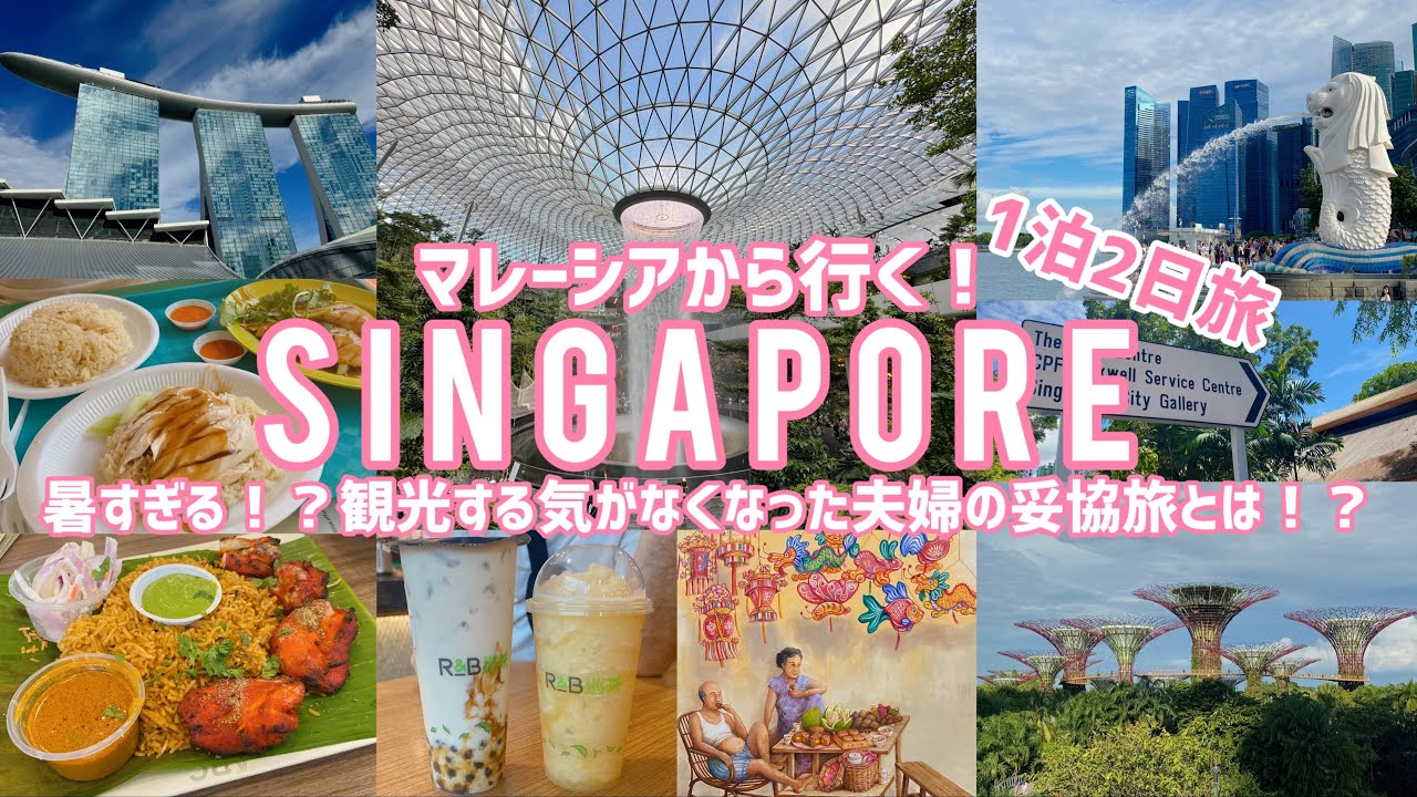 【Vlog】シンガポール🇸🇬マレーシアから✈️1泊2日で行くちょこっと寄るだけ旅行🏝️🌺