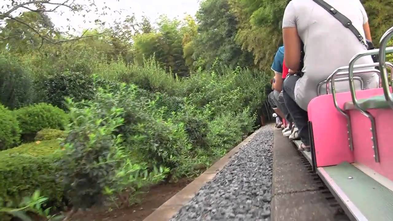 Ichikawa Zoo - Train Ride