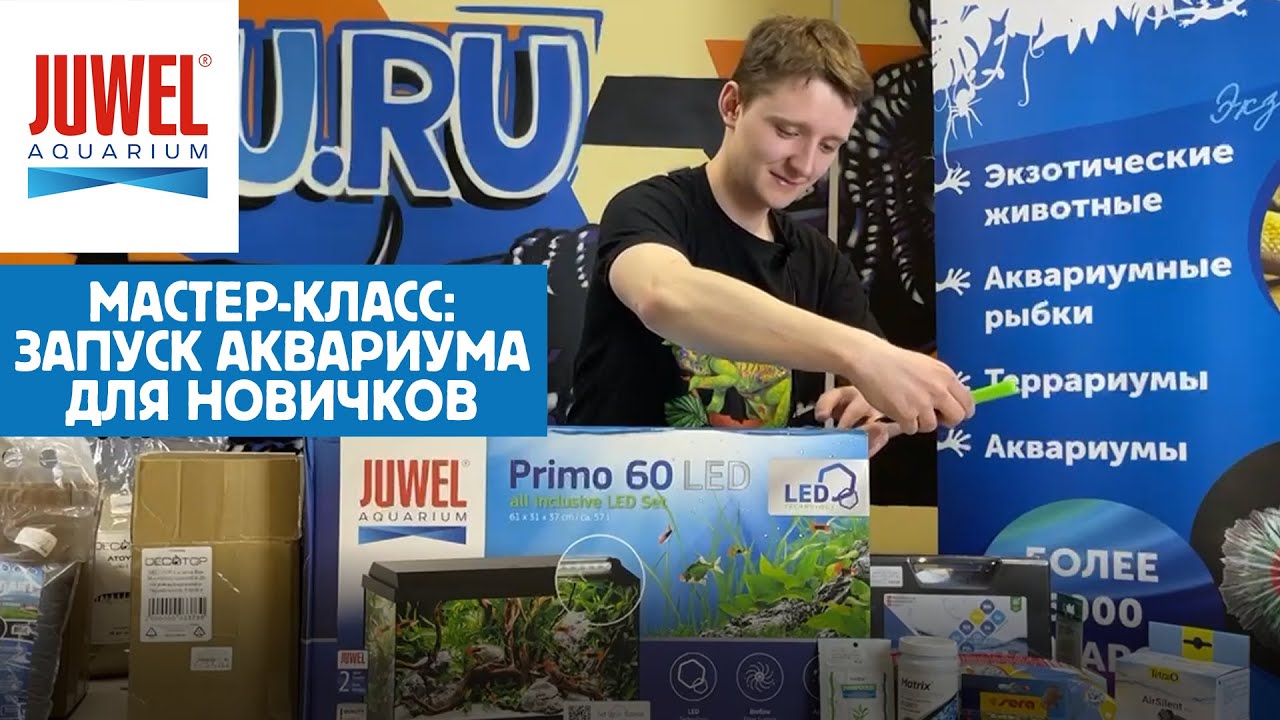 Мастер-класс по запуску аквариума JUWEL Primo 60 [ЗАПИСЬ СТРИМА]