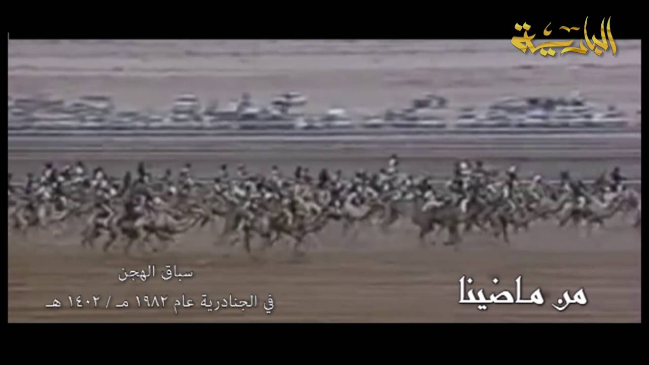 من ماضينا-سباق الهجن في الجنادرية ١٤٠٢-١٩٨٢-قناة البادية