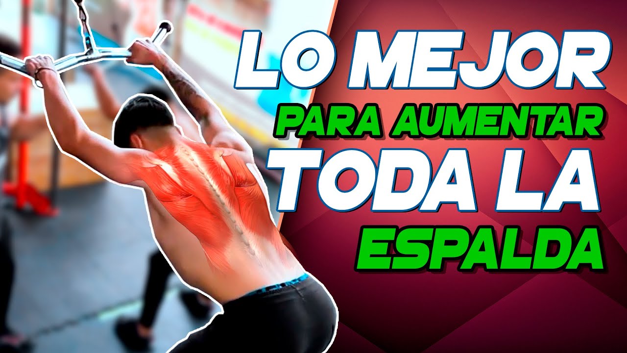 ¡USAMOS SOLO LA POLEA PARA TRABAJAR LA ESPALDA! | 03 ejercicios intensos🔥 - Frank Serapión.