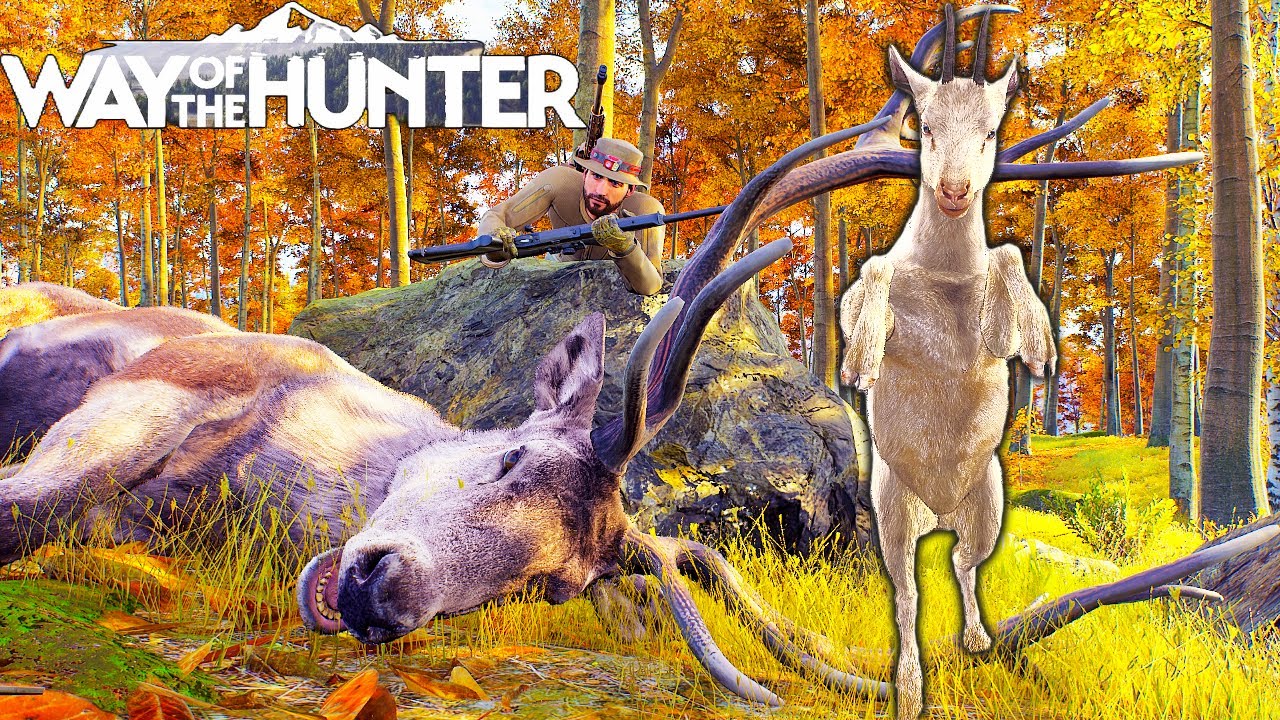 Albino Chamois and Five Star Red Deer | Way of the Hunter