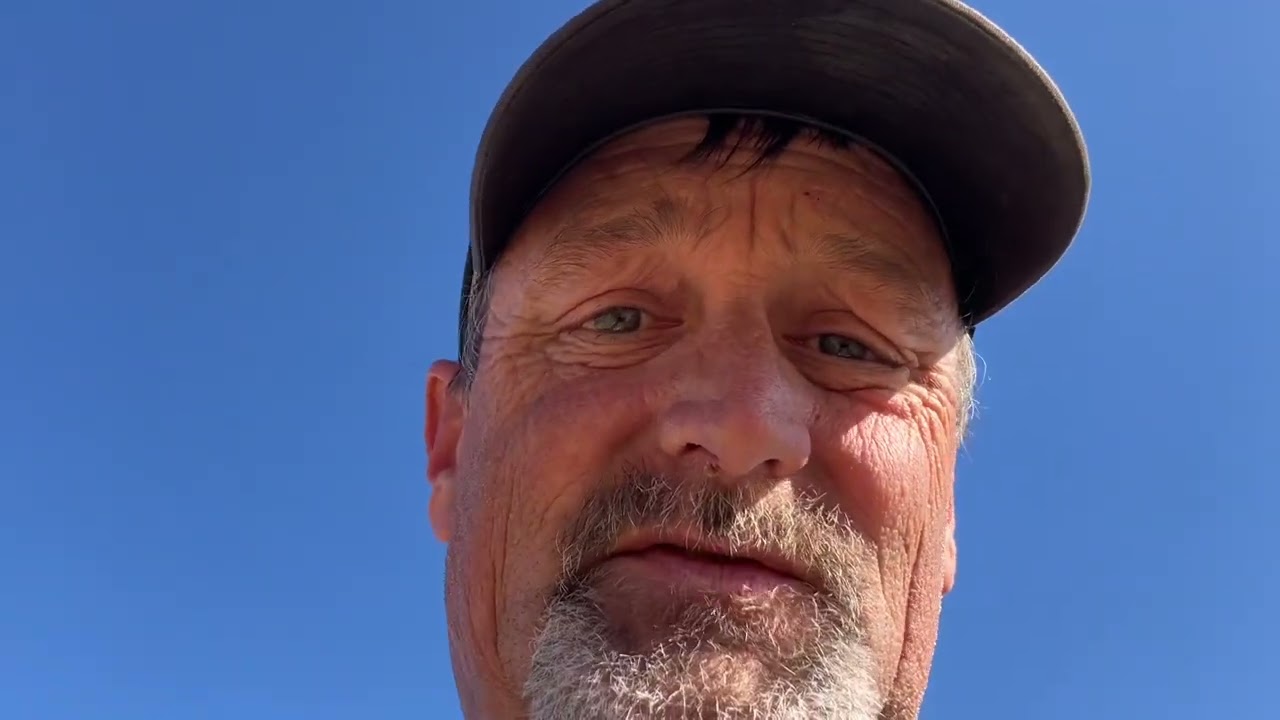 Metal Detecting field hunt clips and a vigilante squirrel.