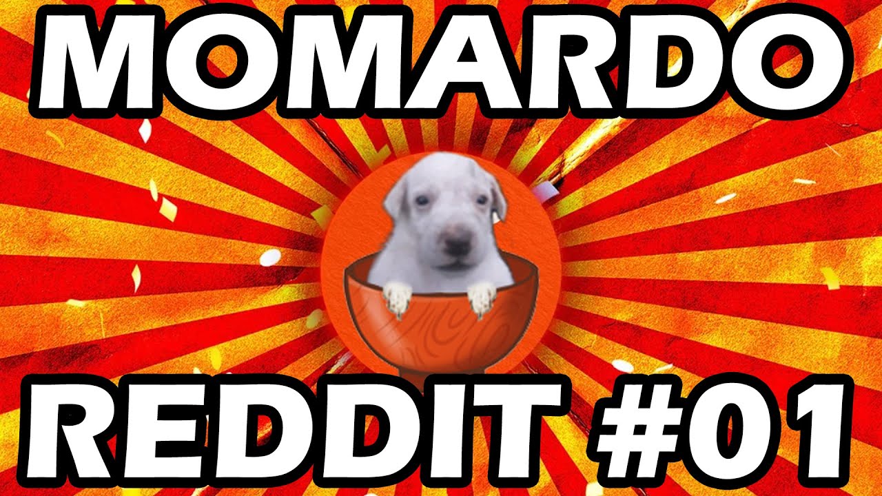 Los mejores momardos del reddit de WARHAMMER 40K ESP