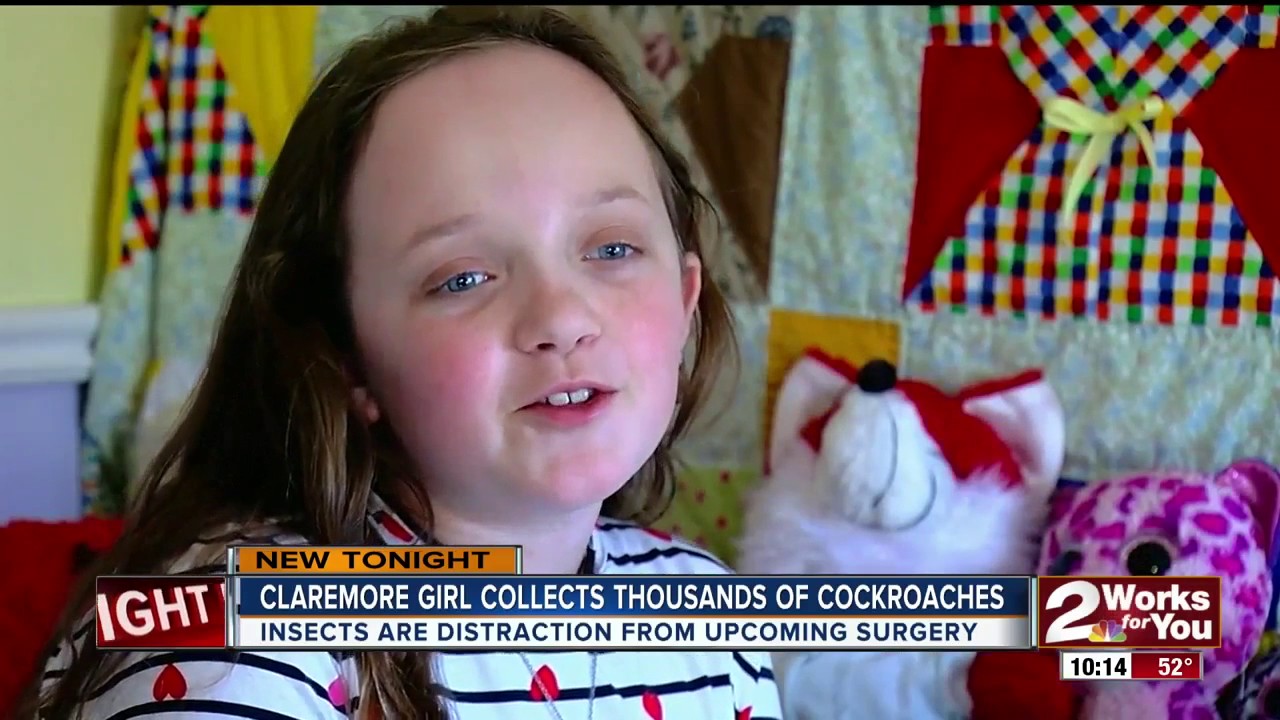 Claremore Girl Collects Thousands Of Cockroaches