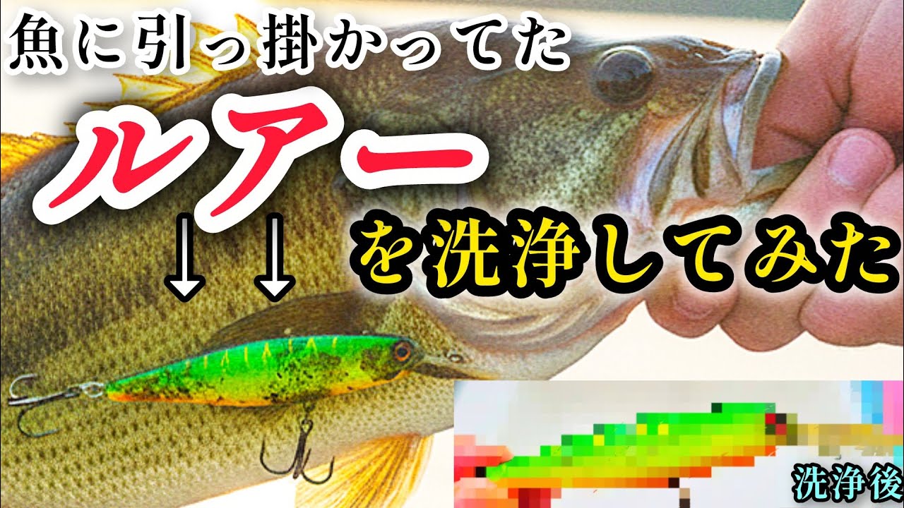 【裏ワザ】小汚ないルアーを綺麗にする方法