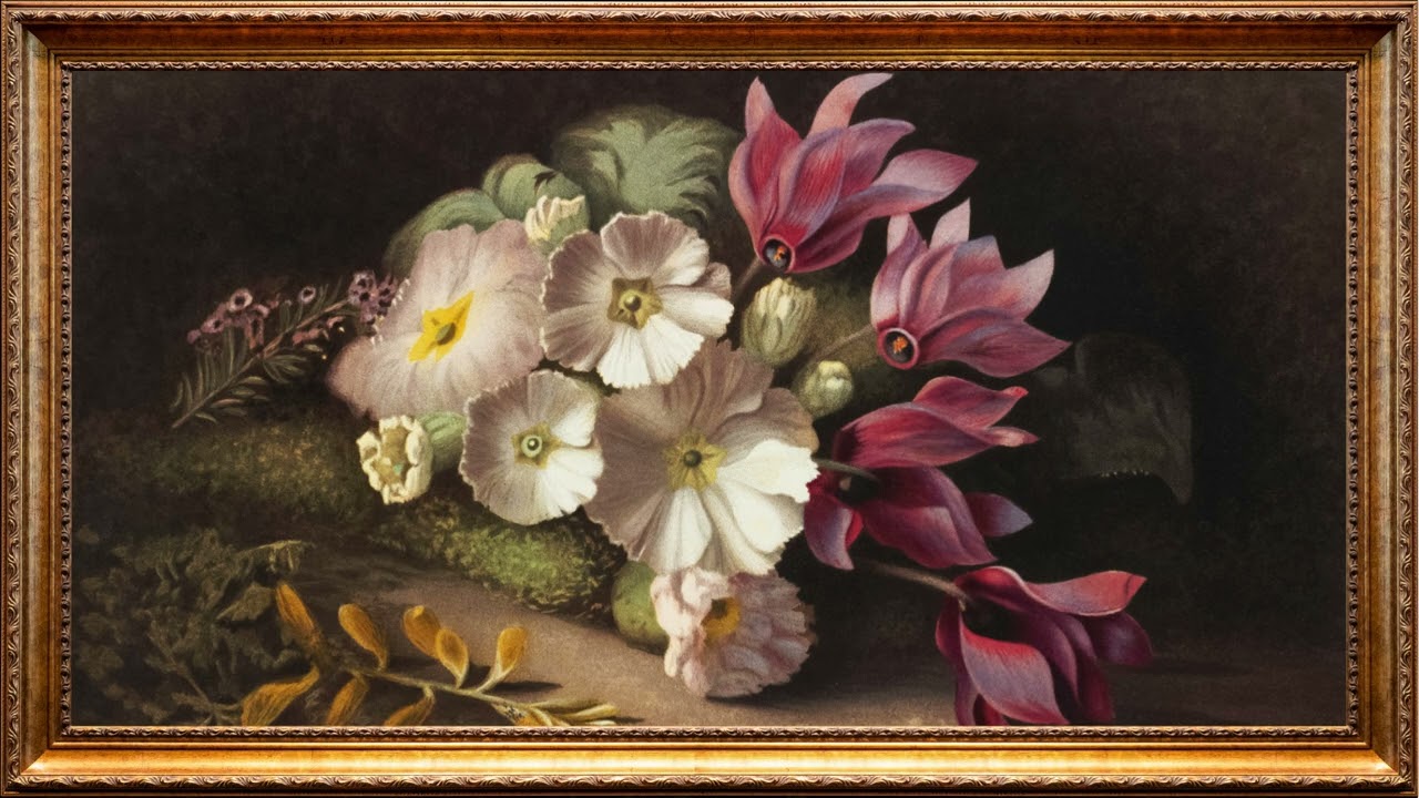 Flower Luxury Art Vintage Oil Painting | Framed Art Aesthetics Screensaver for TV