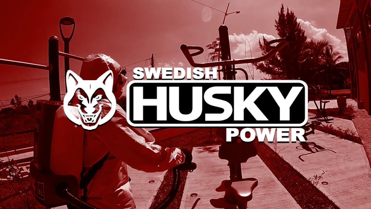 Unboxing Dragon LT de Swedish Husky Power