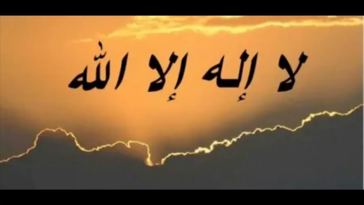 Bushaaro iyo Qisooyin kale oo laga arkay Saliga Nabigaﷺ Cajiib!