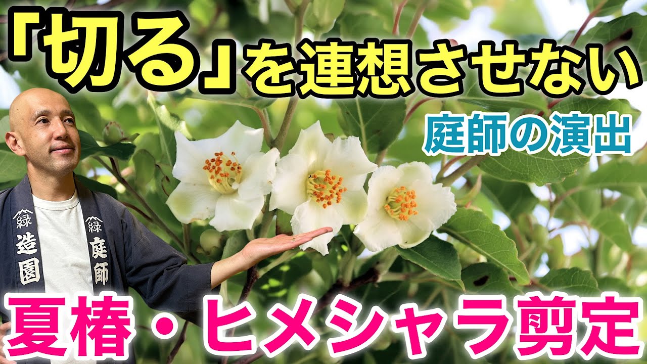 【ご縁をつなぐ剪定】お見合い品質は「切り足りなくてモヤモヤ」で正解！