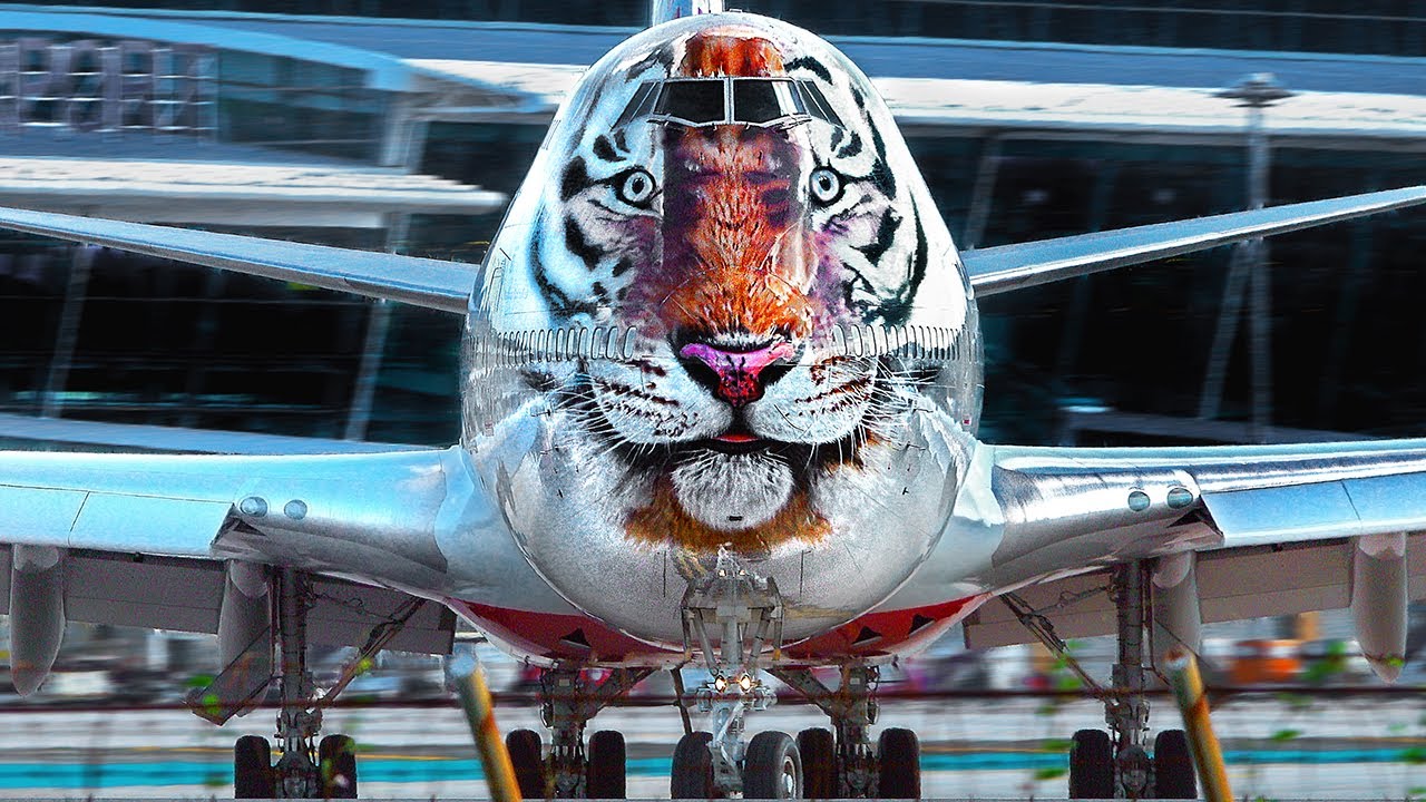Phuket Aviation Highlights 2/3 | The Beach: Tiger 747, Dragon & Lion A330, Firefly