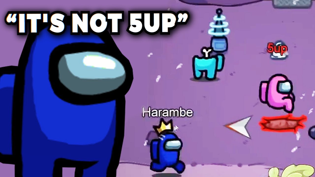 How I mind controlled the entire lobby into voting 2 crewmates...
