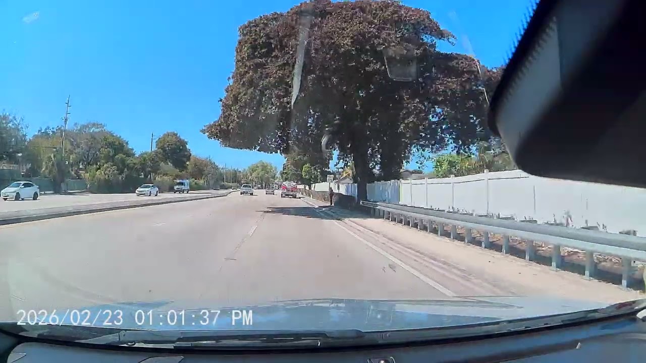 Only in Florida: The Most Unreal Highway Moment Ever Recorded