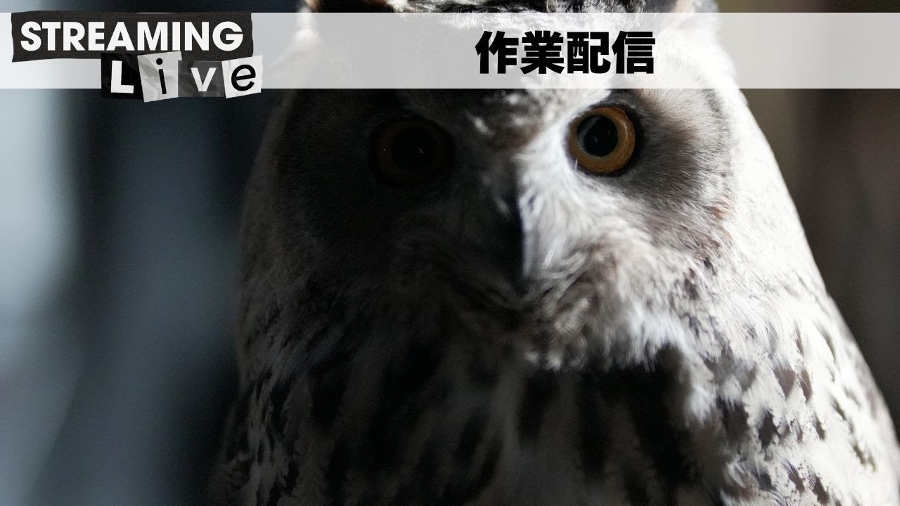 【まったり作業配信】無限巻き巻き