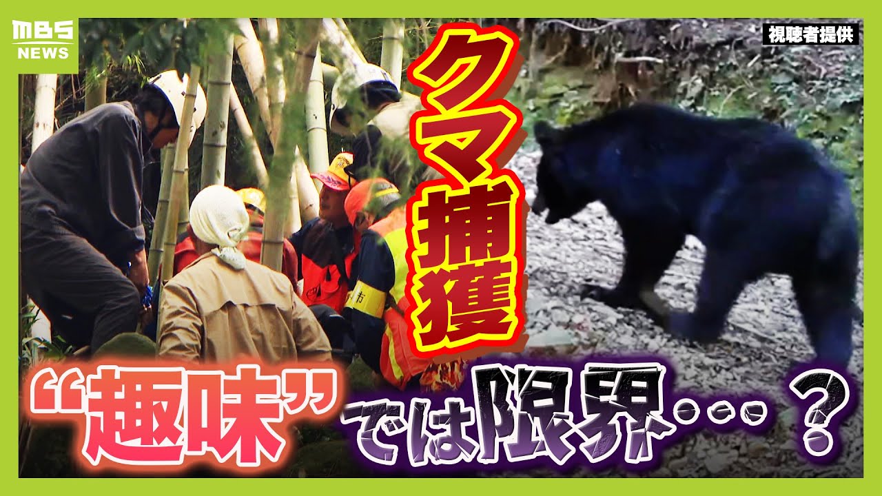 【クマ増加】対策の要『猟友会』６０代が半分以上を占める…“趣味任せ”では限界？専門家は「日本の仕組みは遅れている」と指摘（2025年11月10日）
