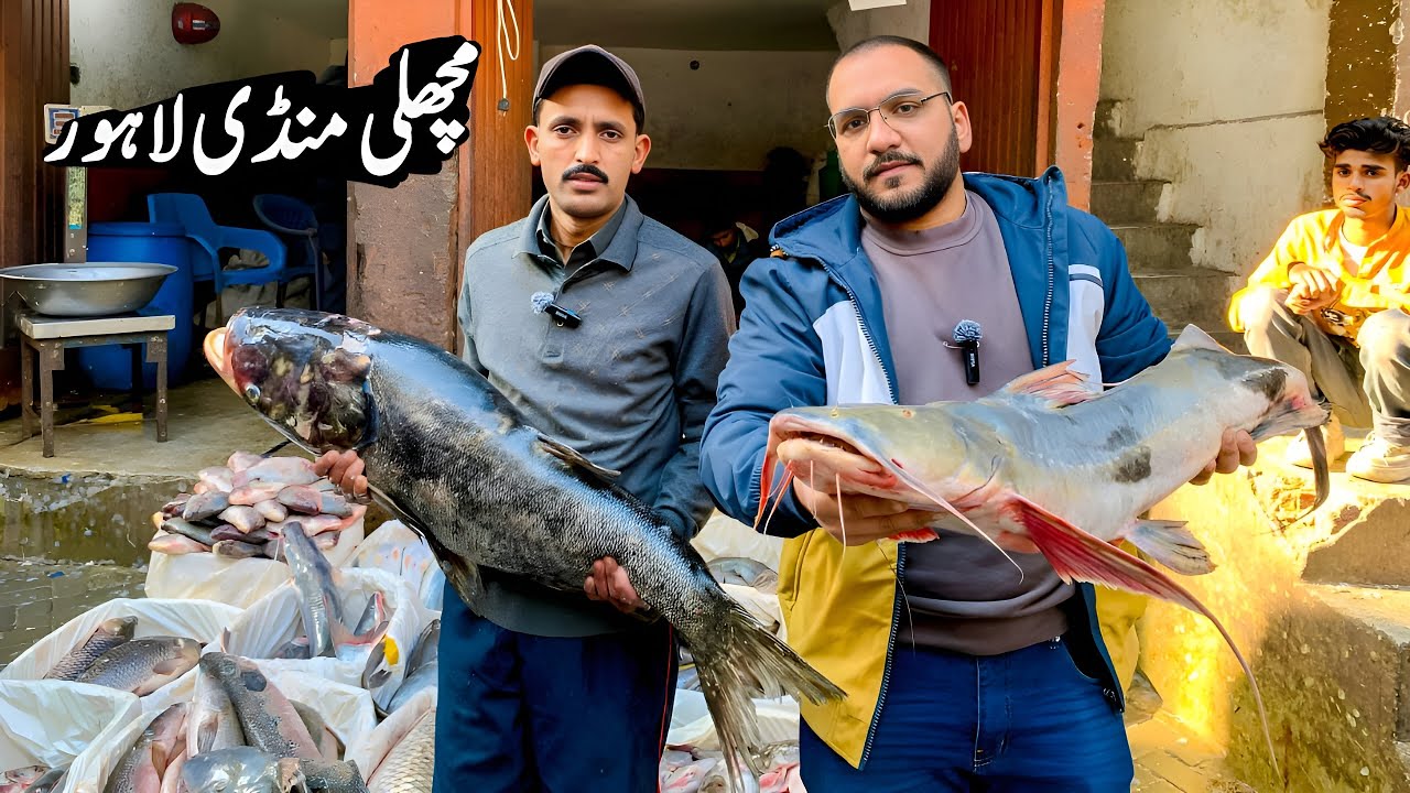 Fresh Fish Wholesale Market Lahore | Cheap Rates & Latest Fish Prices 2025 | Haider Babar Vlogs