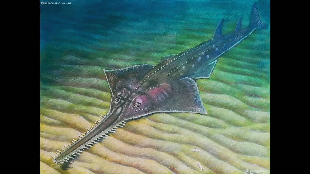 Onchopristis