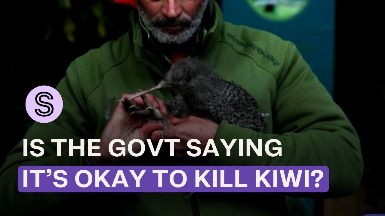 Govt rushes through bill allowing comapnies to unintentionally kill protected wildlife | Stuff.co.nz