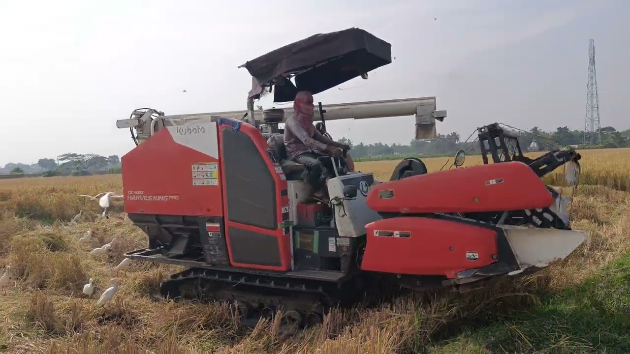 Kubota King Pro 👑💪👑 #trending #viralvideo 