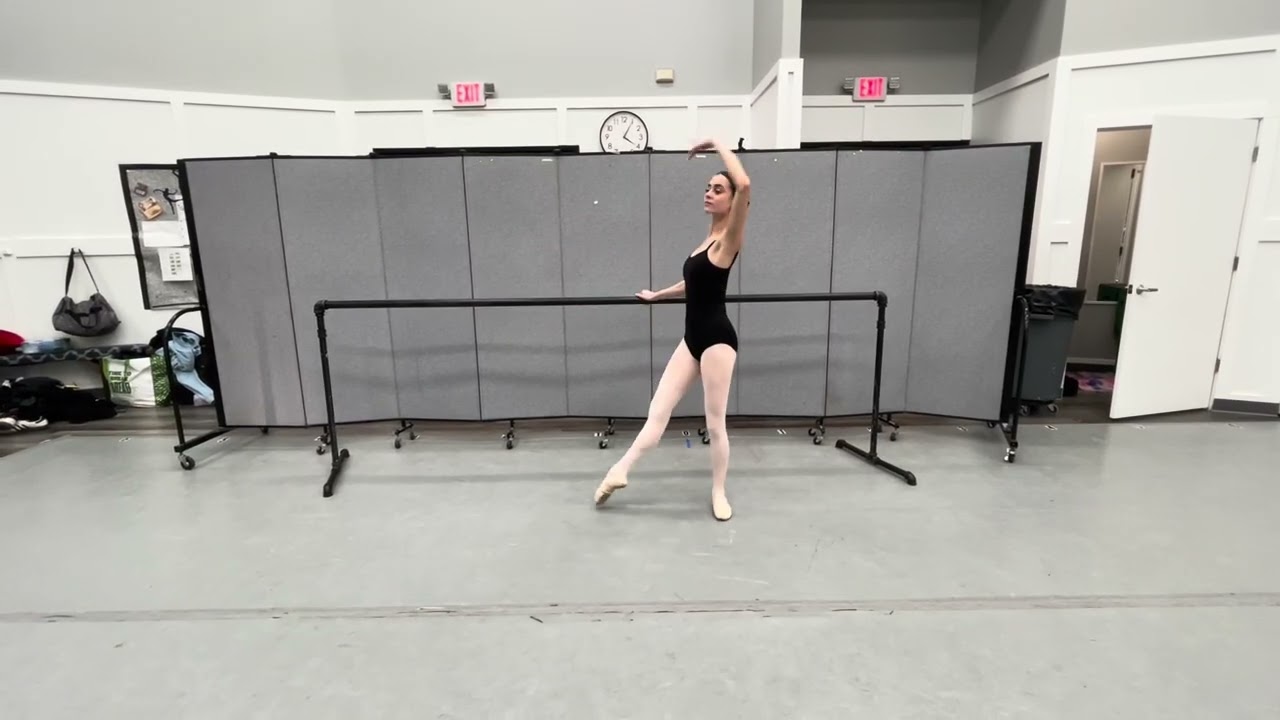 STARS Charter- Luna Green- Barnes Travis Scholarship 2026 Submission