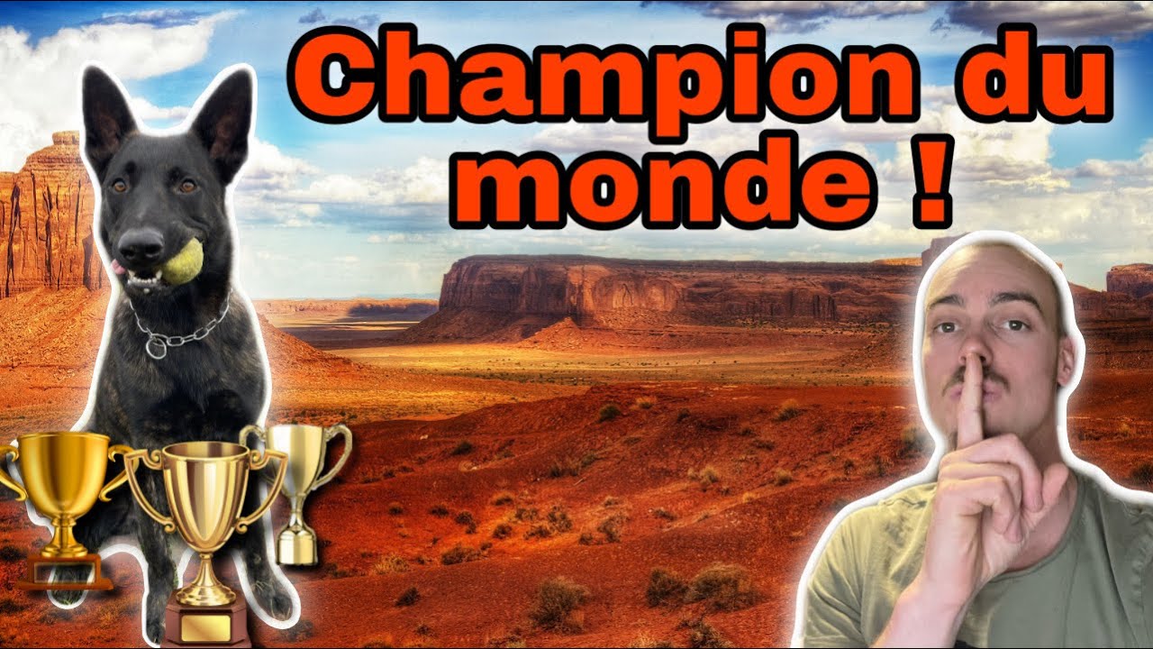 Taycan 15 mois un futur champion du monde !! ( du coeur de son papa ! )