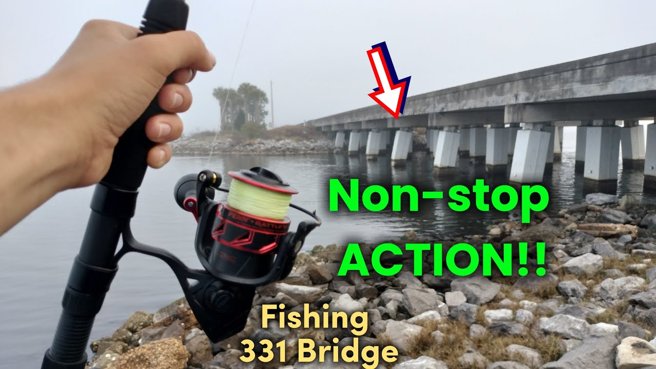 Fishing For My Dinner on This DANGEROUS Highway Bridge!! (Endless Bite!!)*Catch and Cook*/331 Bridge