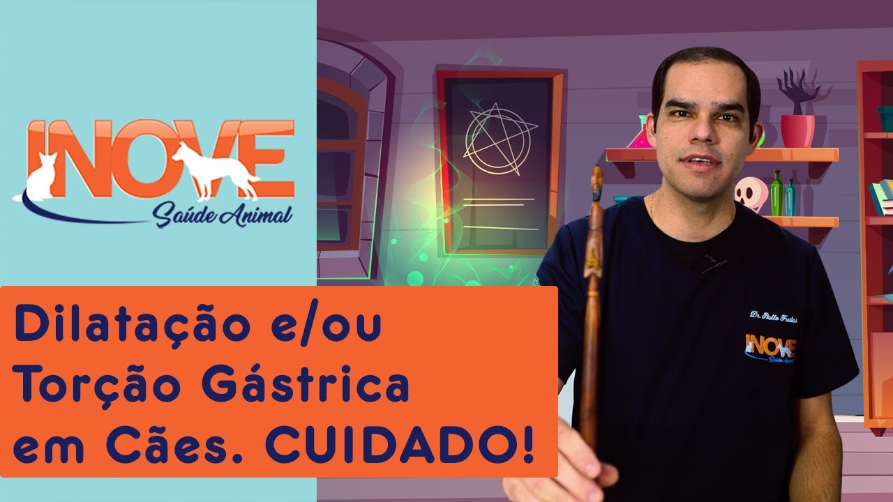 Dilatação e/ou Torção Gástrica em Cães. CUIDADO! - Inove Saúde animal